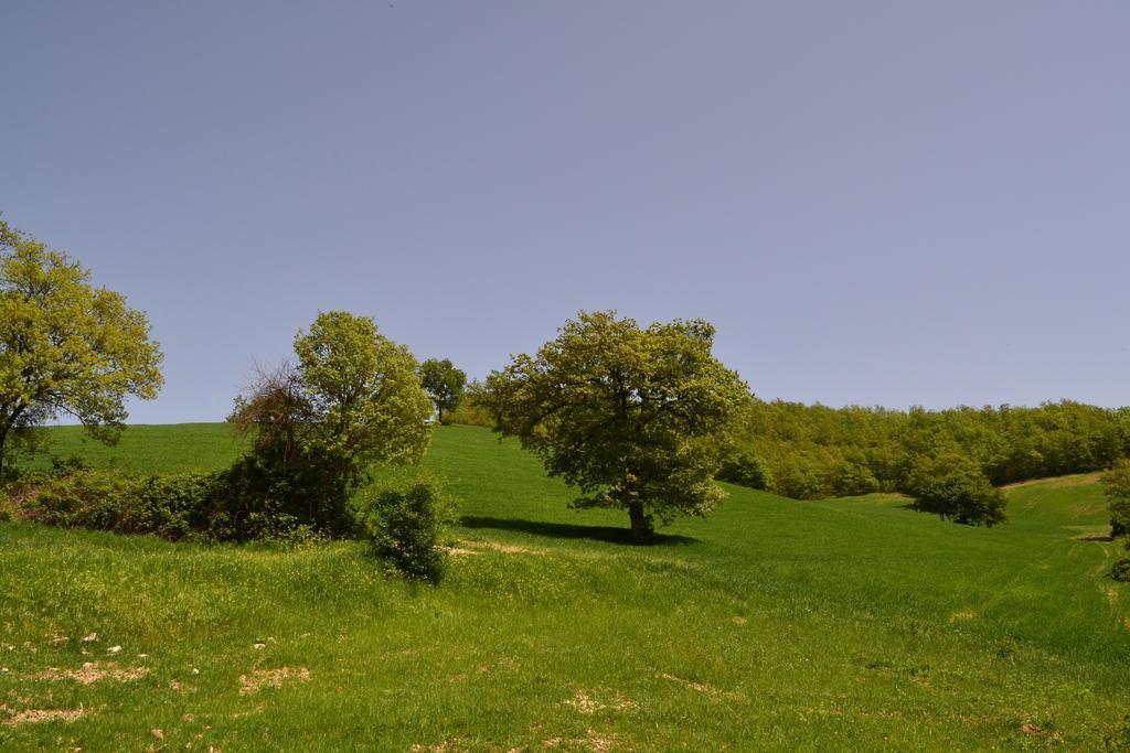 Agriturismo Marano Mengara Exteriör bild